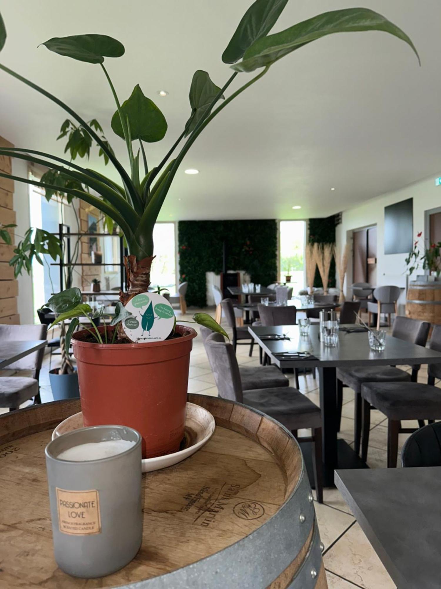 Logis Hotel Volcan Sancy Nebouzat Екстер'єр фото